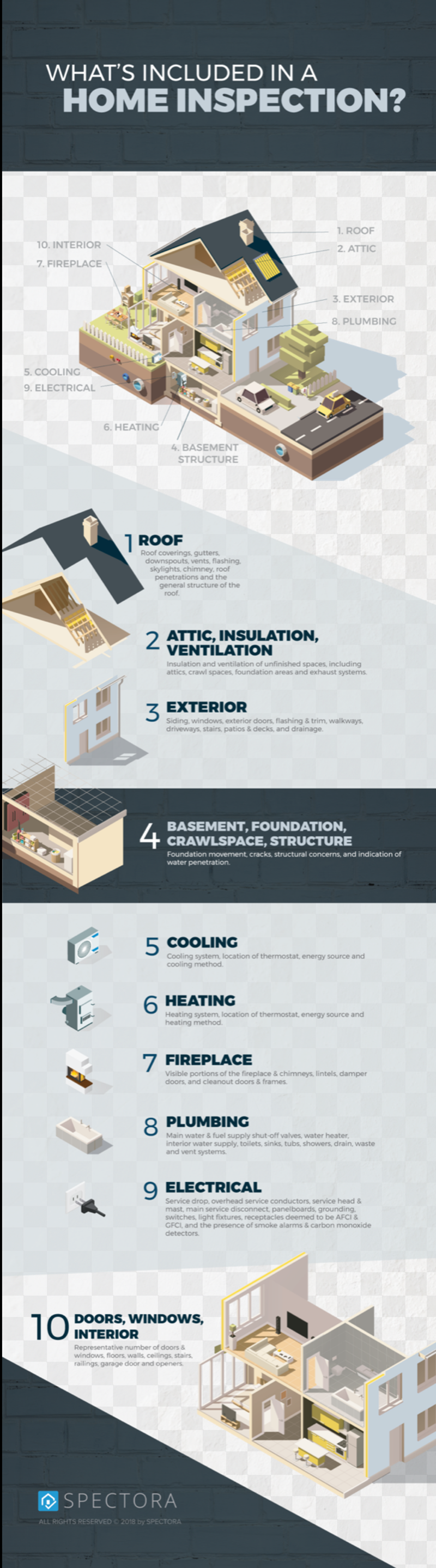 spectora_info_graphic